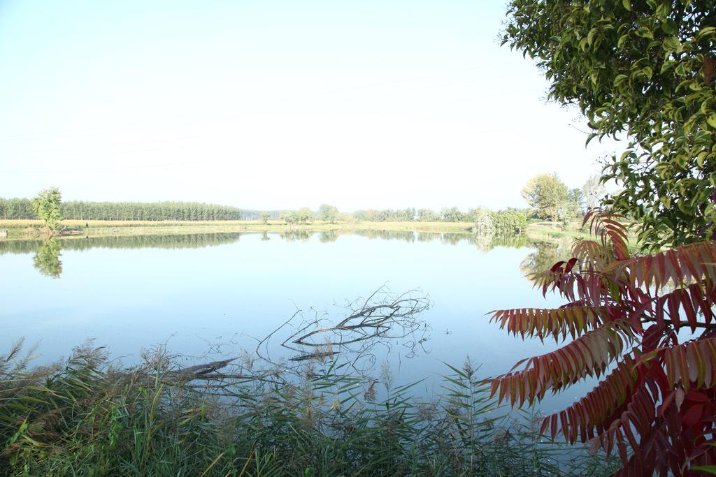 Agriturismo Zio Michele 호텔 이솔라 델라 스칼라 외부 사진