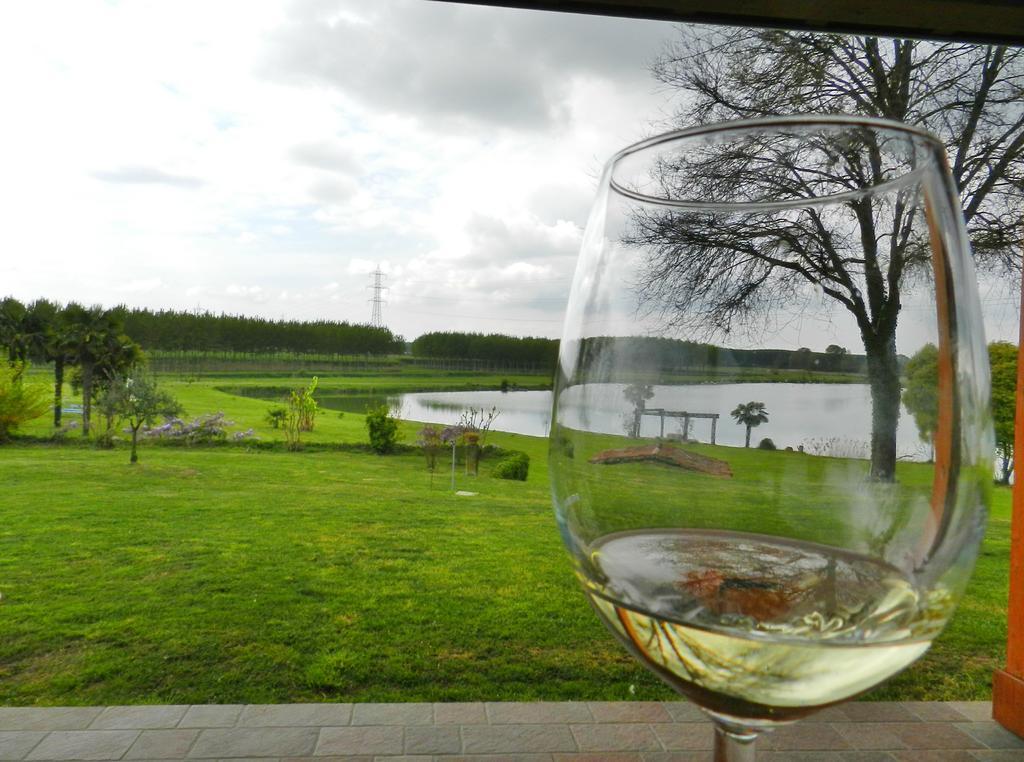 Agriturismo Zio Michele 호텔 이솔라 델라 스칼라 외부 사진